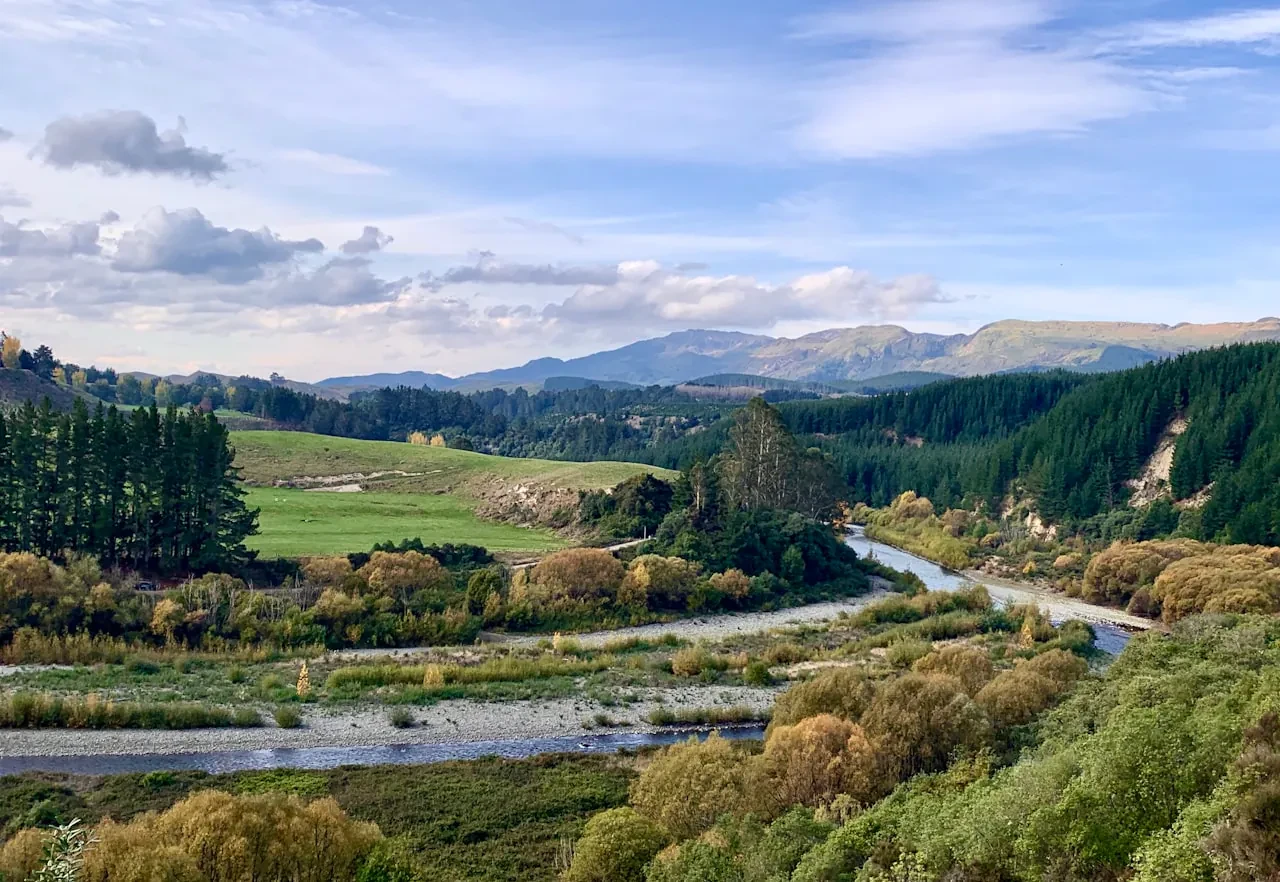 Blenheim Marlborough New Zealand vineyard landscape