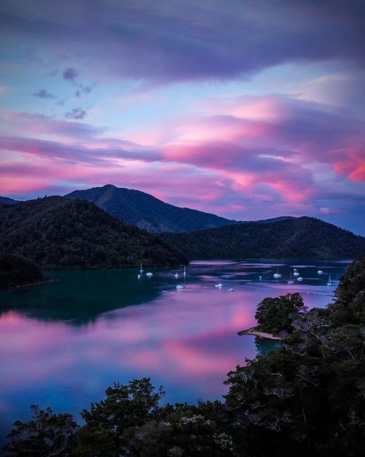 Marlborough Sounds at sunset with sailboats and forested hills reflecting on water, New Zealand