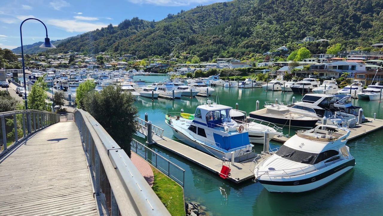 Picton marina full of boats with forested green hills in the background, New Zealand