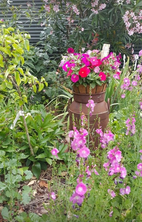 Dragonfly Cottage garden 8