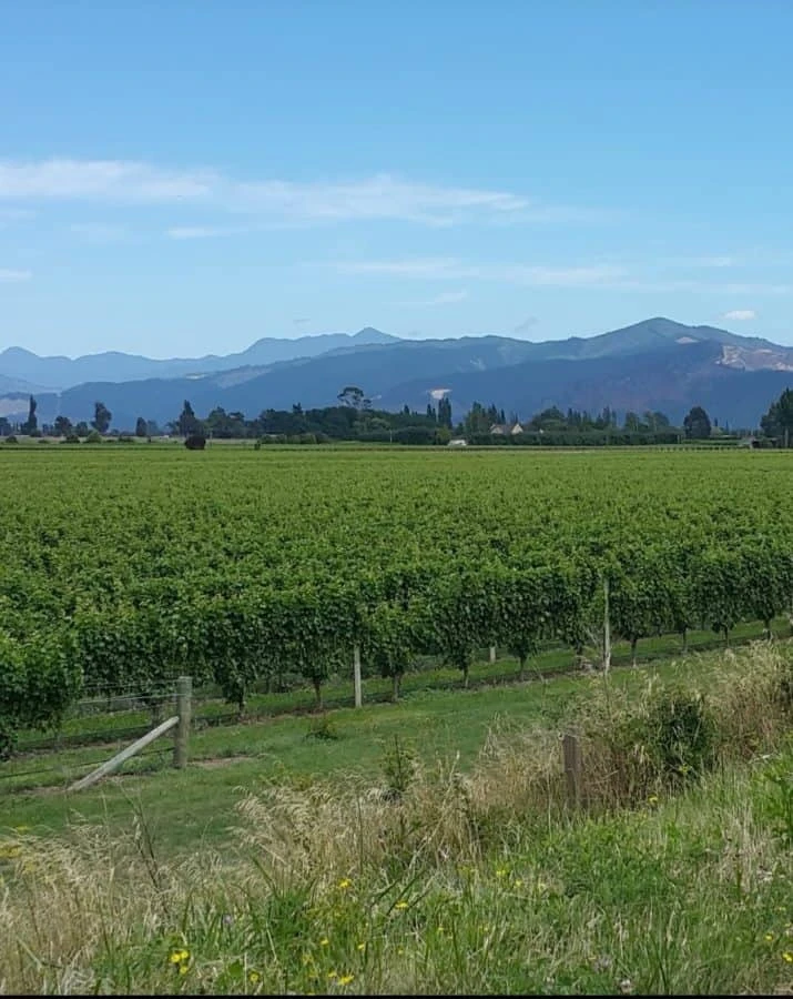 Grovetown surroundings 2