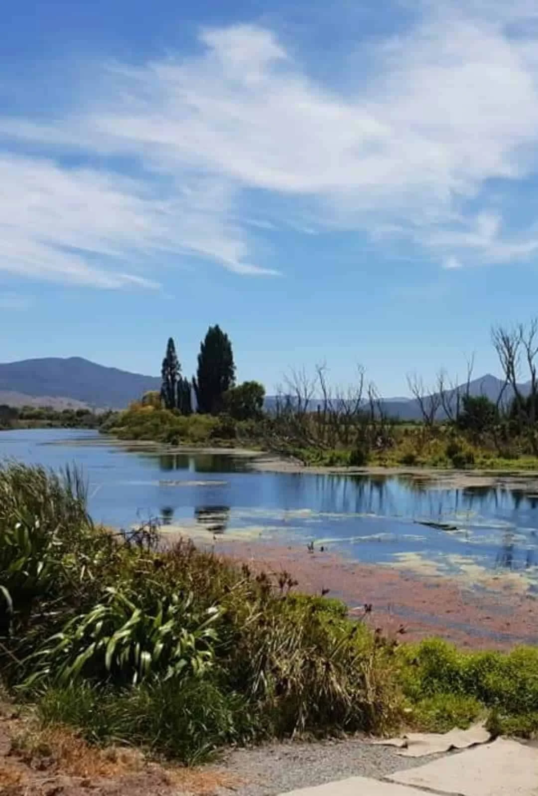 Grovetown surroundings 4