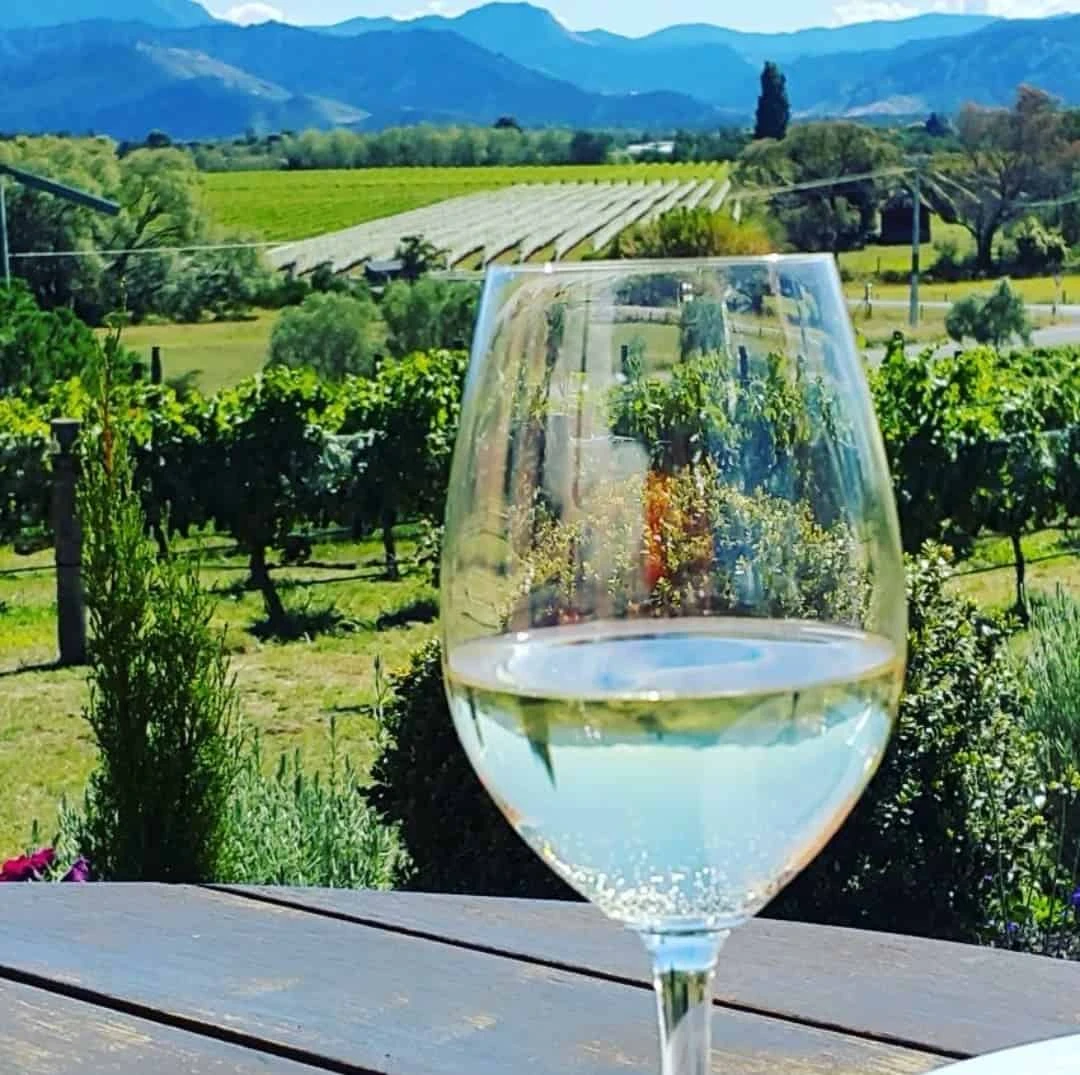 Grovetown surroundings 6