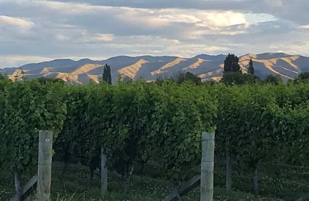 Grovetown surroundings 9