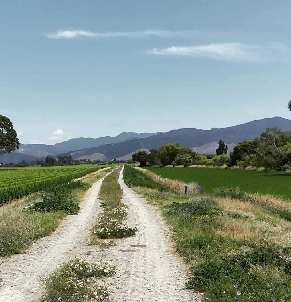 Grovetown surroundings 7